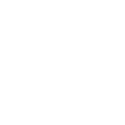 Icon of a wrench