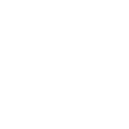 Icon of microsoft windows