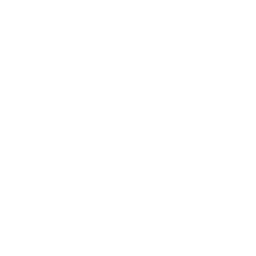 Icon of microsoft windows