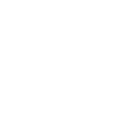 Icon of an online webinar