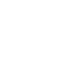 Icon of an online webinar